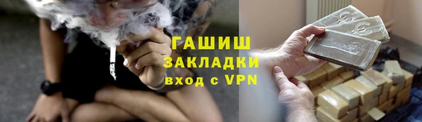 PSILOCYBIN Заводоуковск